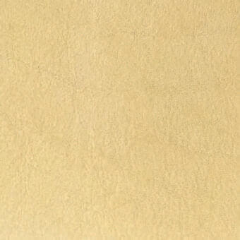 Beige textured rug with mottled surface, granular texture, and tonal variations, displaying a natural material composition in even lighting.